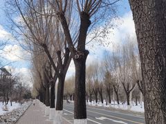 -吉林大学(前卫南区)