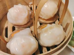 招牌虾饺皇-金鼎轩(方庄天坛店)