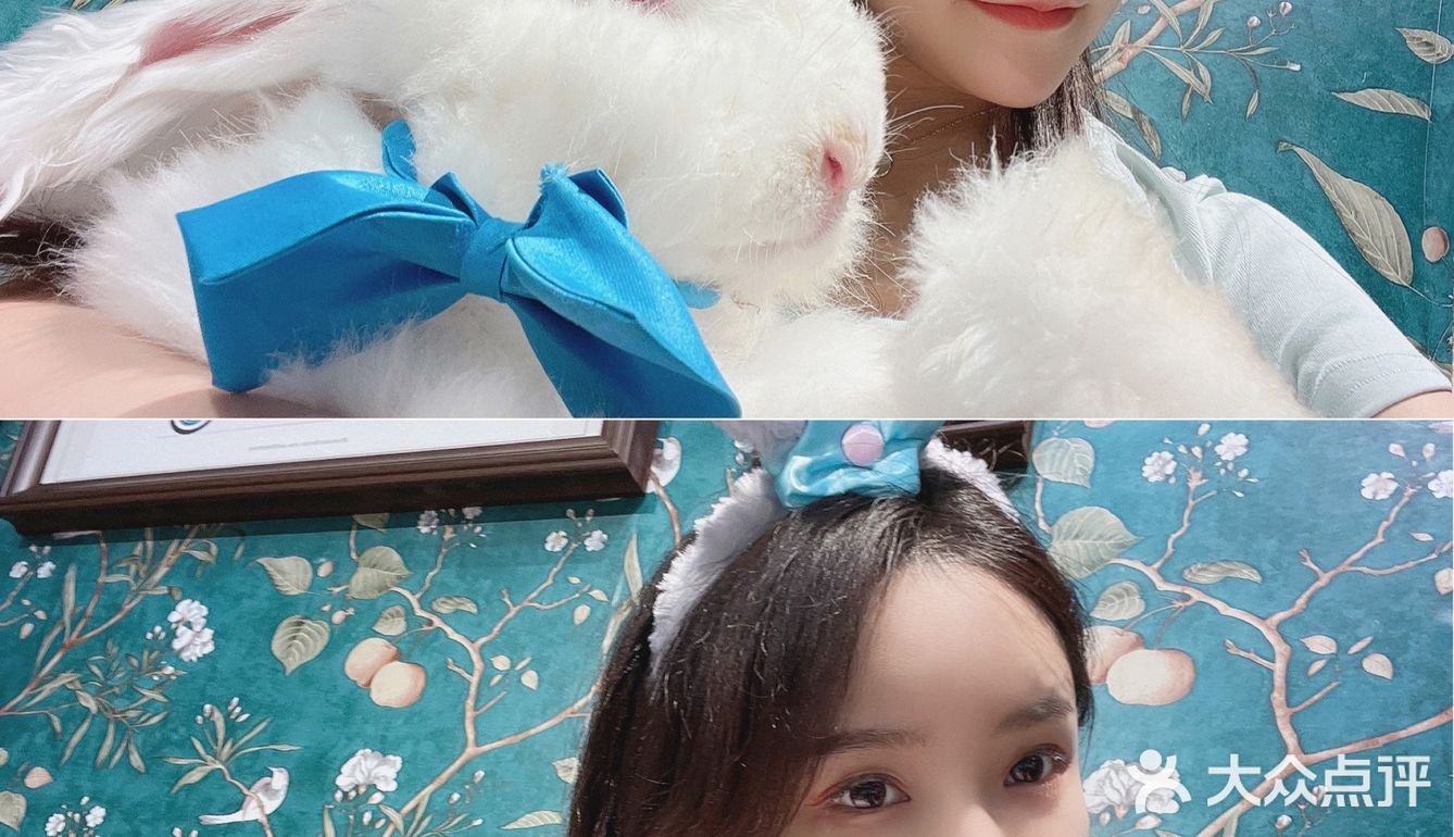 深圳首家｜遇见萌宠体验馆🐰