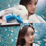 深圳首家｜遇见萌宠体验馆🐰