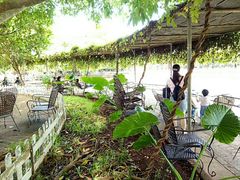 -侯臣咖啡文化村