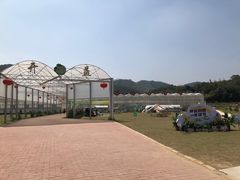 -黄埔油麻山森林公园