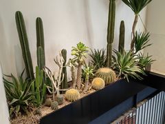 -J Create城市露营咖啡·简餐·宠物(上海动物园店)