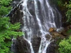 -江西阳明山国家森林公园