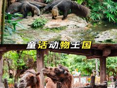 -长鹿旅游休博园