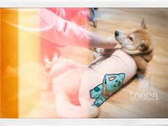 -ZING COFFEE 镜咖啡