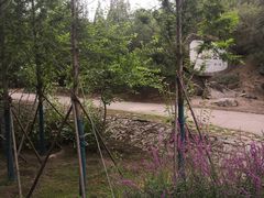 -白水寺森林公园