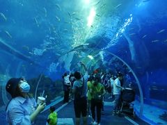 -成都浩海立方海洋公园