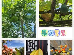 -水峪民俗村