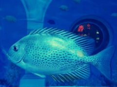 -成都浩海立方海洋公园