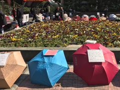 -人民公园-相亲角