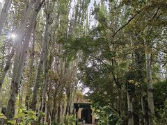 -艾提尕尔清真寺