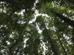 -汇龙潭