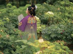 -洛阳市隋唐城遗址植物园