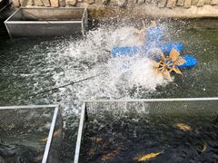 -京北渔家傲