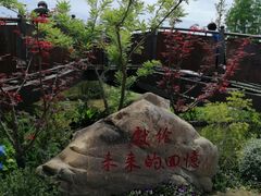 -上海长兴岛郊野公园