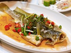 鲜花椒大黄鱼-十六台·经典广东菜(德外大街店)