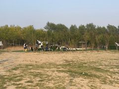 -爪吧宠物乐园·宠物泳池(温榆河示范区店)