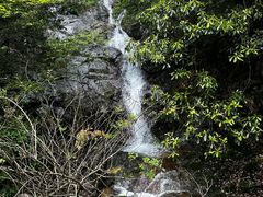 -东天目山风景区