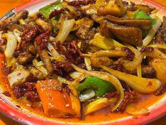 -柴窝堡22号辣子鸡·传承新疆菜