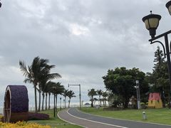 -野狸岛