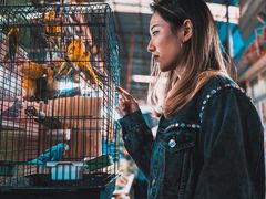 -万商花鸟市场