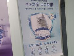 -半岛宠物医院24小时(科华中路店)