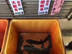 -荔城生鲜盛宴(番禺旗舰店)