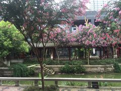 -龙潭水乡