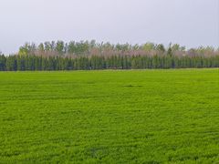 -汉长安城未央宫国家考古遗址公园