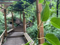 -大岭沟猕猴桃谷风景区