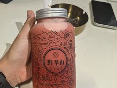 -野萃山·潮汕厚果汁(十亩地店)