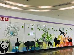 -上海动物园(地铁站)