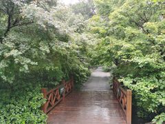 -上海滨江森林公园