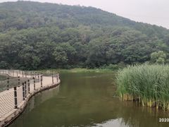 -棋盘山风景区