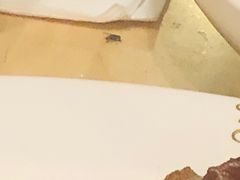 -巴伐利亚啤酒坊(意式风情街店)