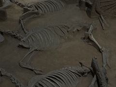 -洛阳周王城天子驾六博物馆