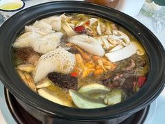 -蘑统田下·野生菌火锅