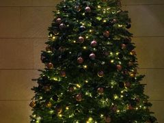 -上海柏悦酒店·大堂客厅