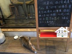 -Poke lemon海鲜波奇饭·柠檬茶(金碧开放小区店)