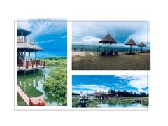 -北海金海湾红树林生态旅游区