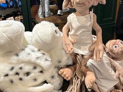 -九又四分之三站台哈利波特商店