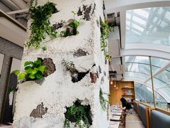 -农畉LONFOOD(福田星河COCOPark店)