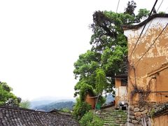 -杨家堂村