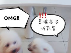 -怪兽屋·羊驼·猫咖·狗咖(俊华广场店)