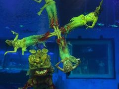 -正佳雨林生态植物园