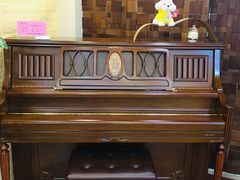 -迷音音乐国际艺术中心(三林店)