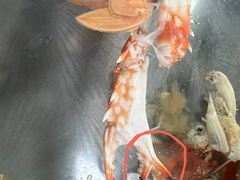 -阿兰姐海鲜店