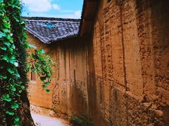 -杨家堂村