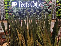 -Peet's Coffee皮爷咖啡(德基店)